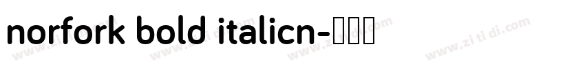 norfork bold italicn字体转换